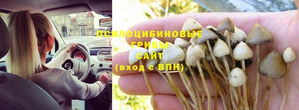 спайс Вязьма